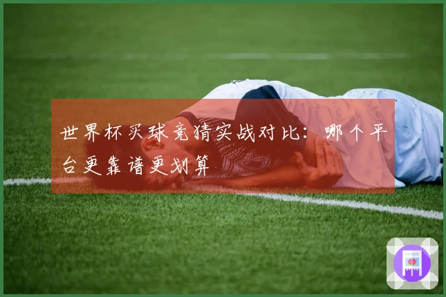 世界杯买球竞猜实战对比：哪个平台更靠谱更划算