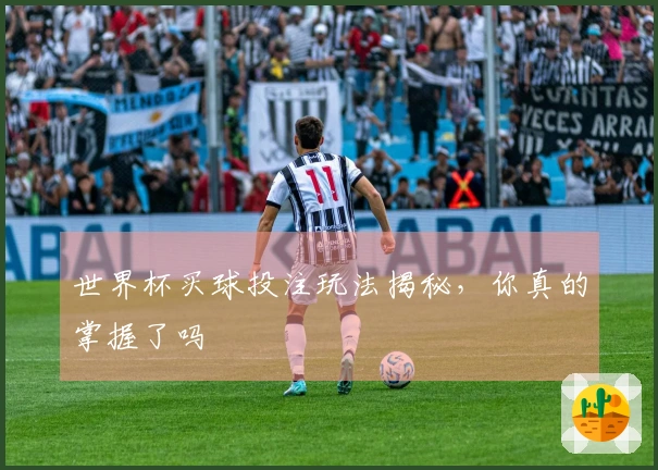 世界杯买球投注玩法揭秘，你真的掌握了吗