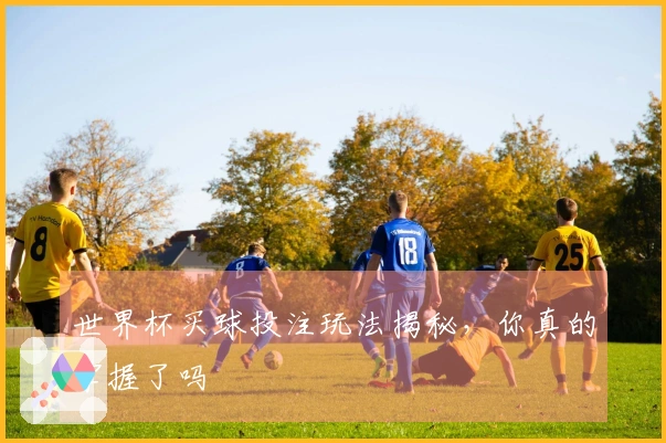 世界杯买球投注玩法揭秘，你真的掌握了吗