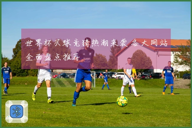 世界杯买球竞猜热潮来袭 各大网站全面盘点推荐