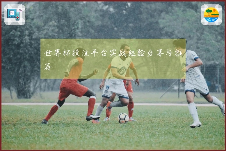 世界杯投注平台实战经验分享与推荐