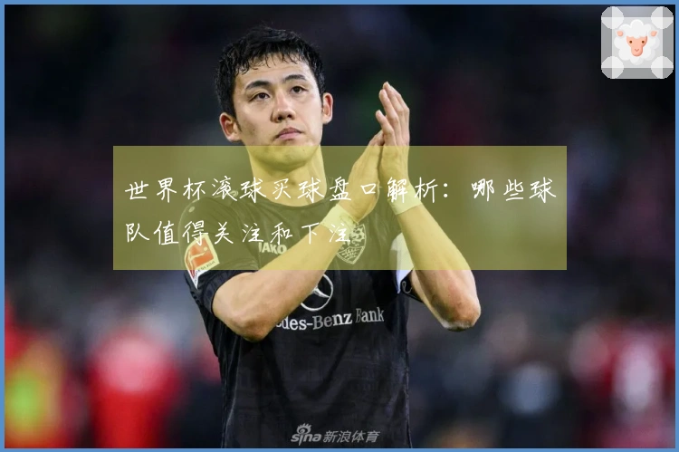 世界杯滚球买球盘口解析：哪些球队值得关注和下注