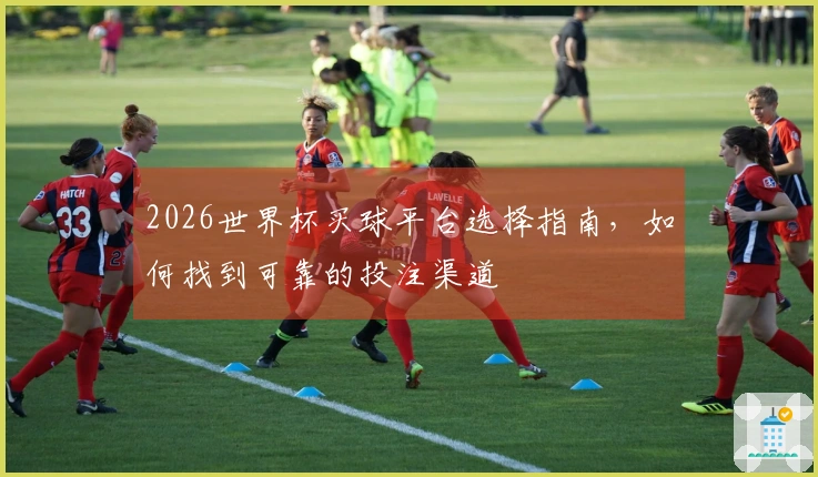 2026世界杯买球平台选择指南，如何找到可靠的投注渠道