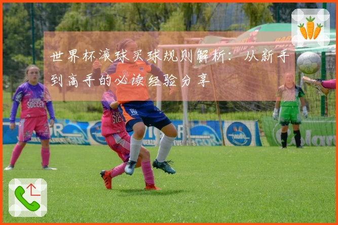 世界杯滚球买球规则解析：从新手到高手的必读经验分享