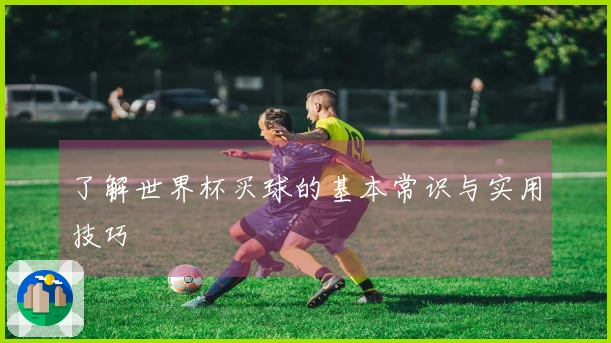 了解世界杯买球的基本常识与实用技巧