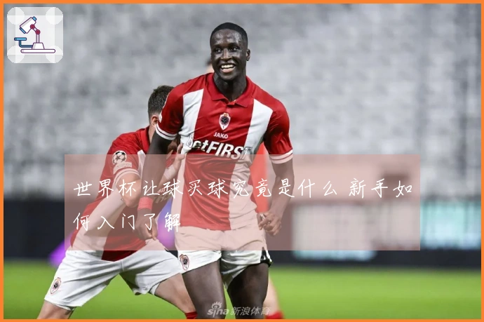 世界杯让球买球究竟是什么 新手如何入门了解