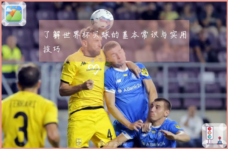 了解世界杯买球的基本常识与实用技巧