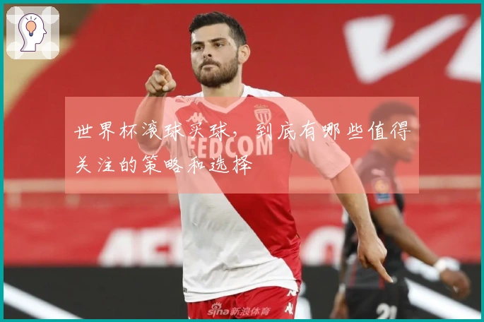 世界杯滚球买球，到底有哪些值得关注的策略和选择