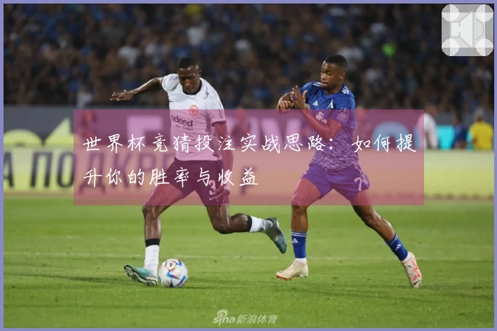 世界杯竞猜投注实战思路:如何提升你的胜率与收益