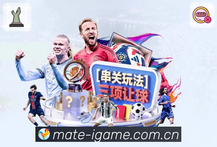 日历视图 - 按日期查看赛事安排